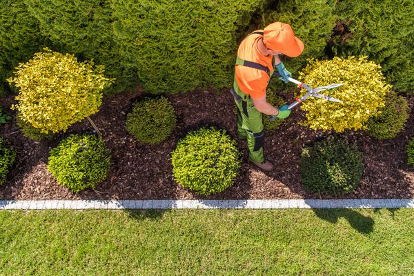 Landscaping Services in Visalia, CA